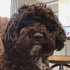 Meet your Posher, Cathy